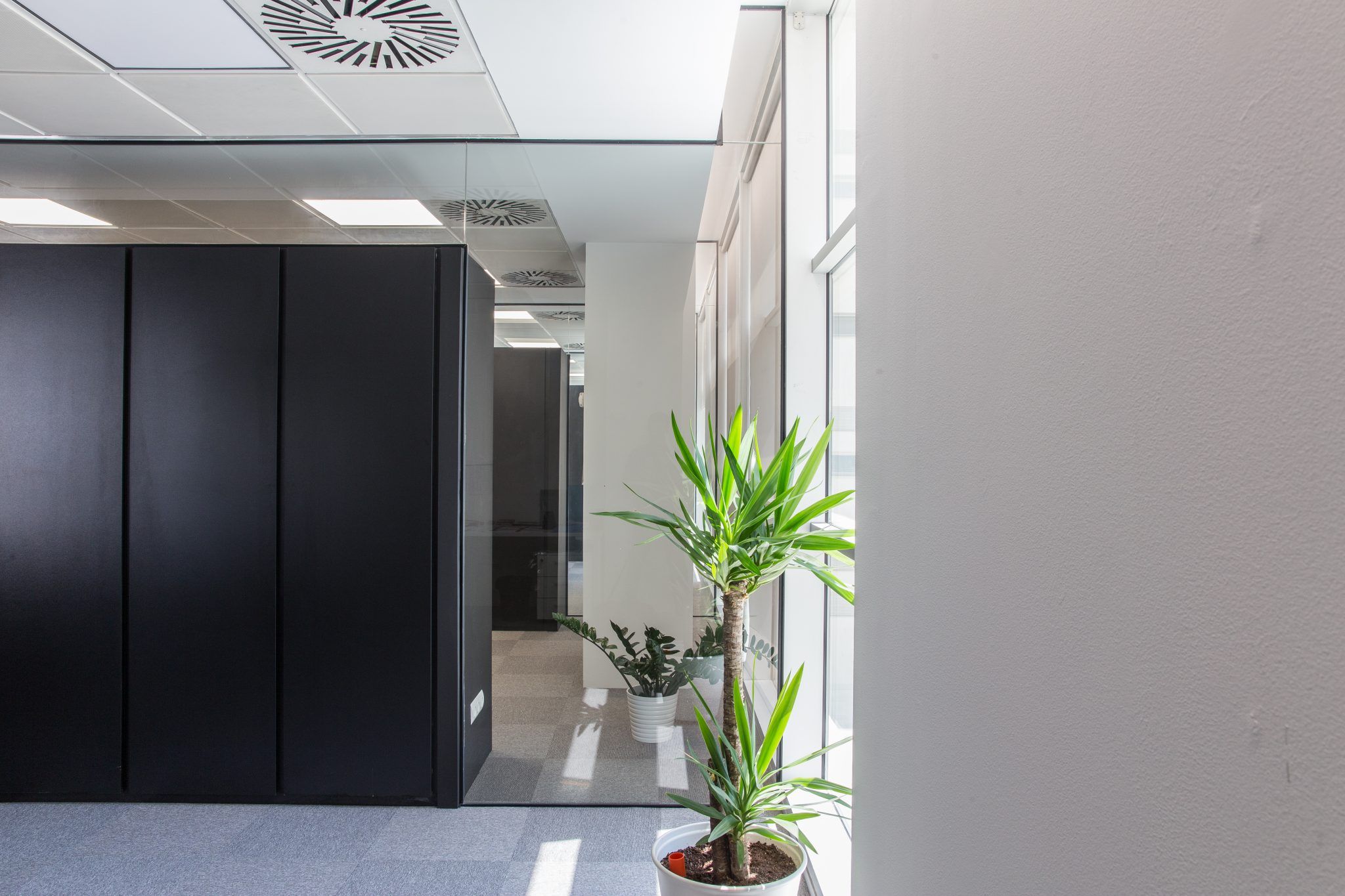 Reforma de oficinas en Poblenou - 15121PJR 10 206 2048x1365 1 Reforma de oficinas en Poblenou - 15121PJR 10 206 2048x1365 1