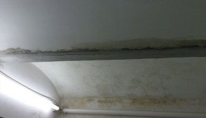 Refuerzo estructural de vigueta