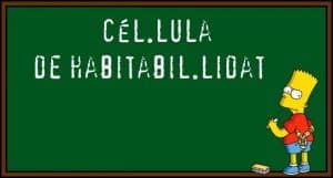 - cedulabarcelona ortografia