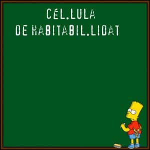 - cedulabarcelona ortografia1 scaled