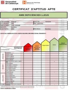 - certificat aptitud ite