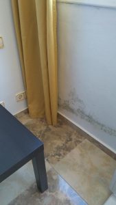 - deficiencia foto 2017 01 23 9 53 59
