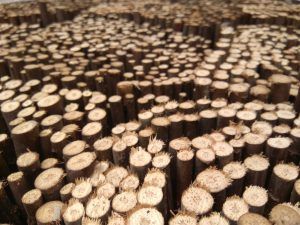 - img 20170524 215326