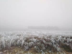 - img 20171205 124034 scaled