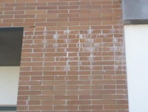- ite arquitectes fachada ladrillo eflorescencia