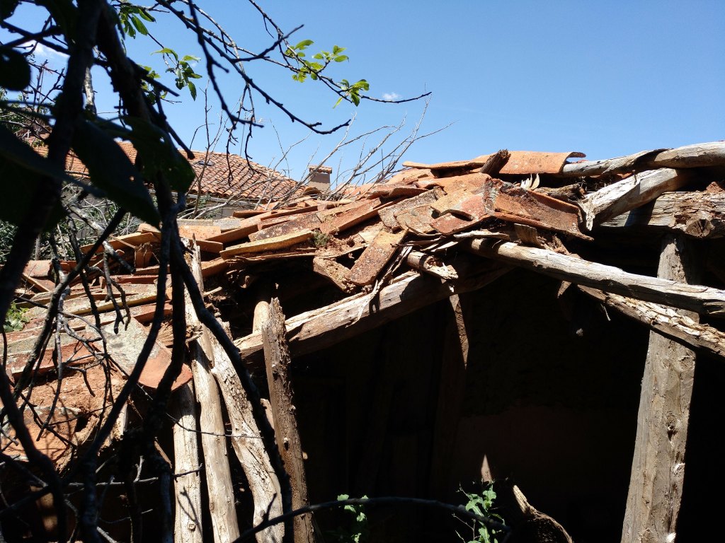 - ruina cubierta - ruina cubierta